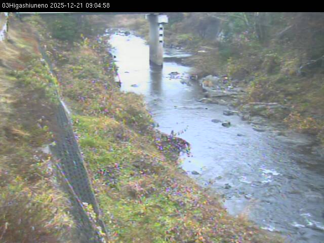 最新監視カメラ画像