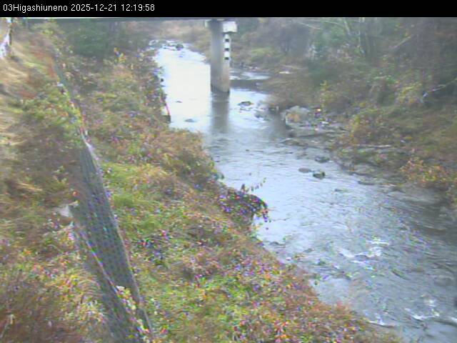 最新監視カメラ画像