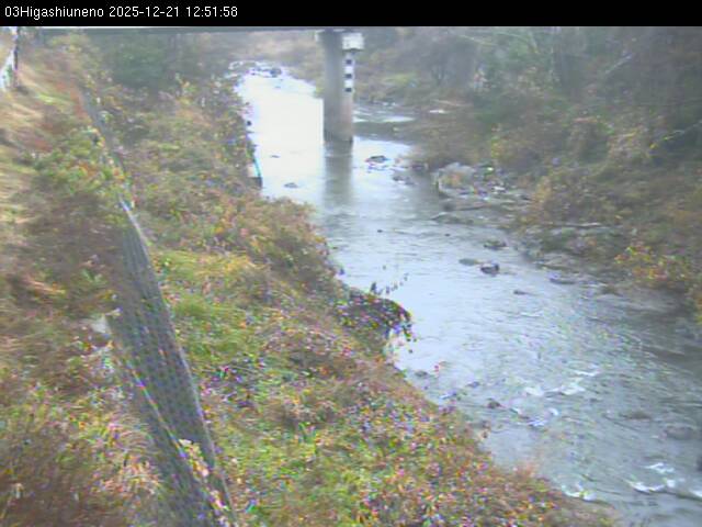 最新監視カメラ画像