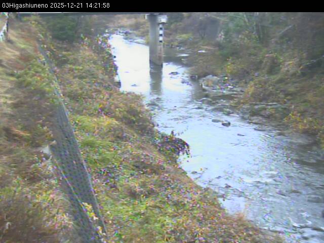 最新監視カメラ画像