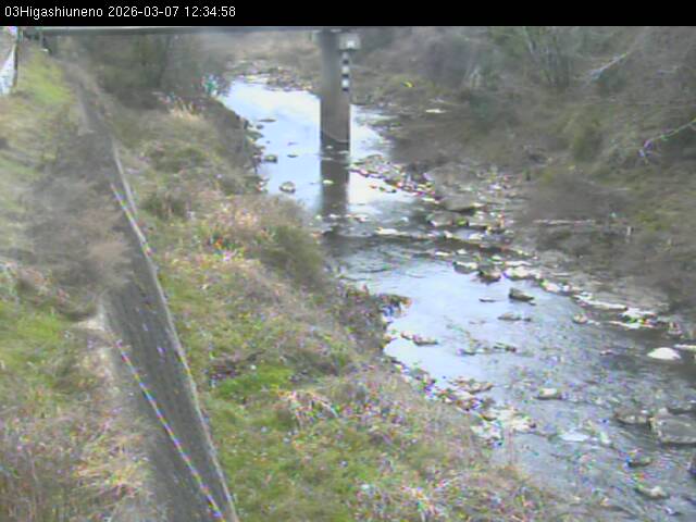 最新監視カメラ画像