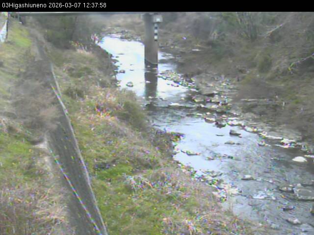 最新監視カメラ画像