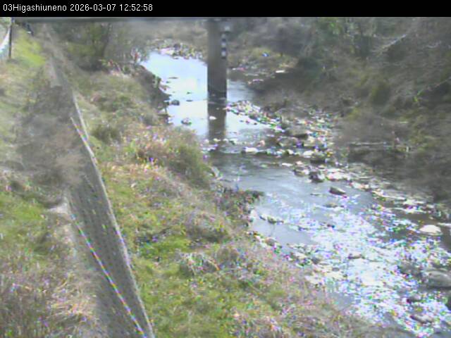 最新監視カメラ画像