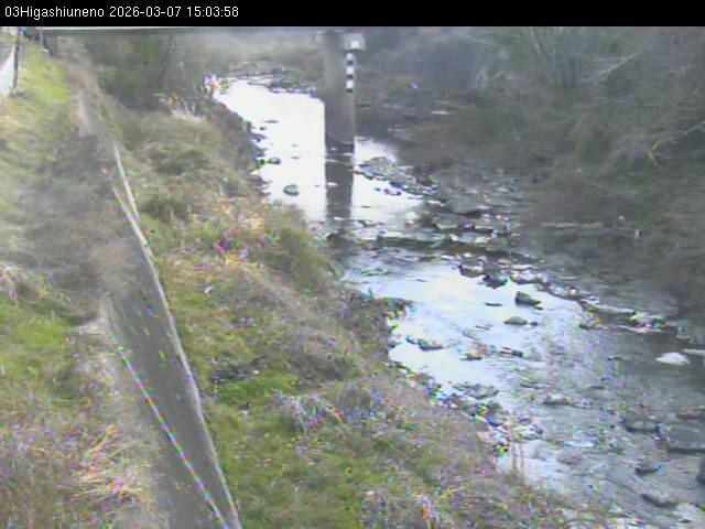 最新監視カメラ画像