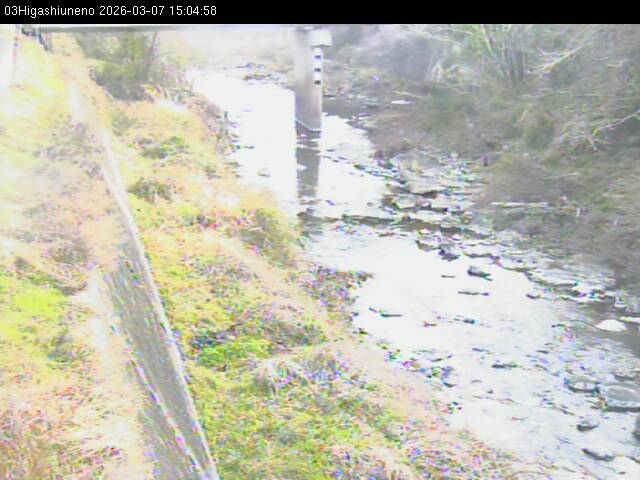 最新監視カメラ画像