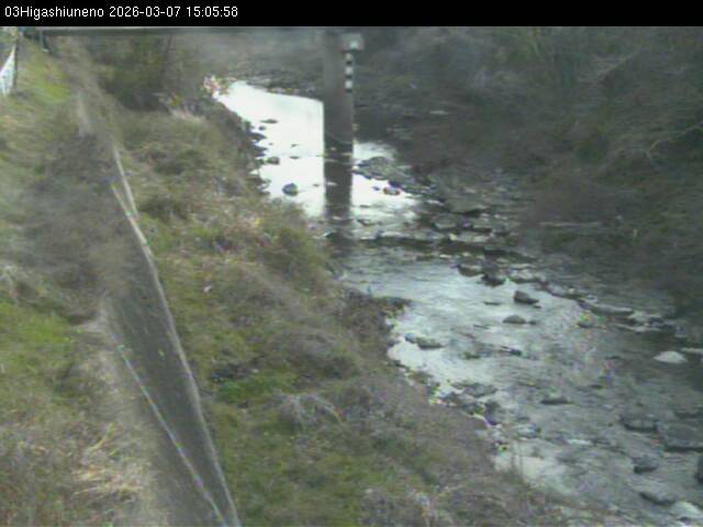 最新監視カメラ画像