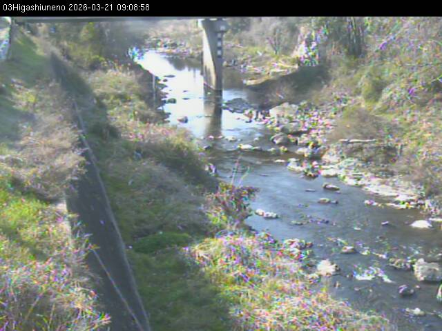 最新監視カメラ画像