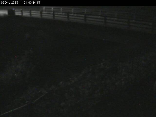 最新監視カメラ画像