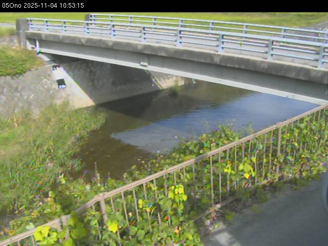 最新監視カメラ画像