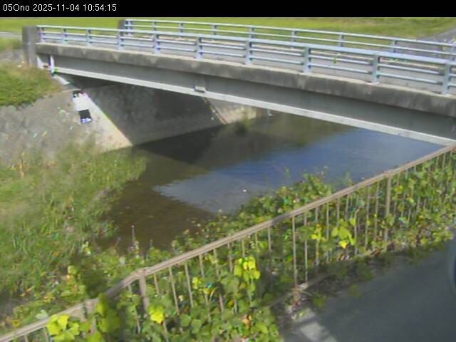 最新監視カメラ画像