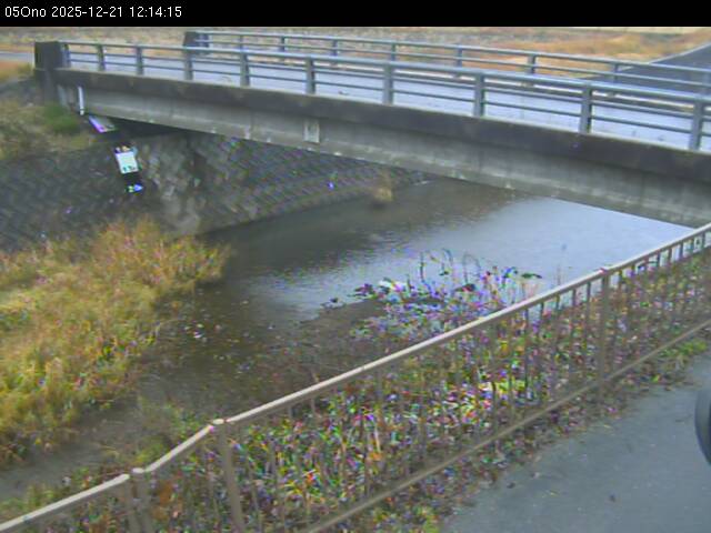 最新監視カメラ画像