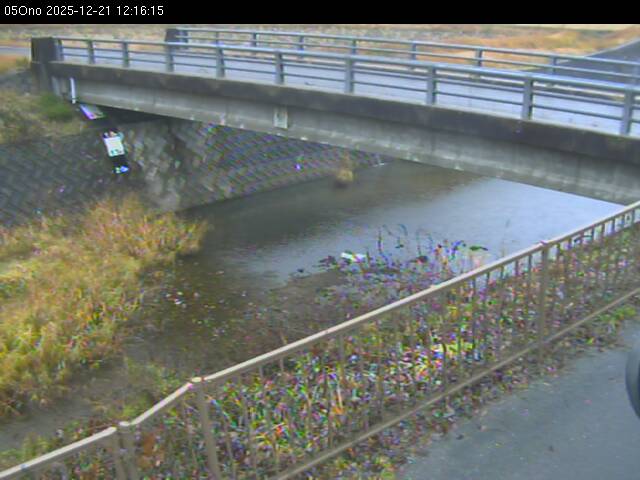 最新監視カメラ画像