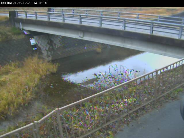 最新監視カメラ画像