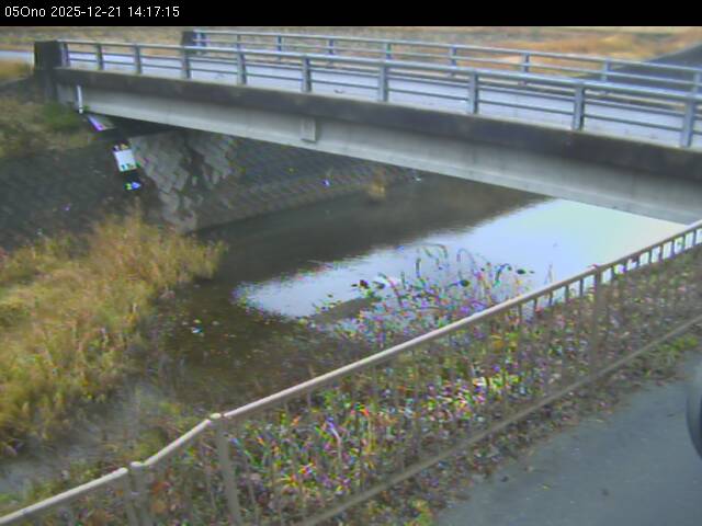 最新監視カメラ画像