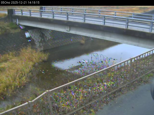 最新監視カメラ画像