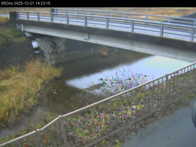 最新監視カメラ画像