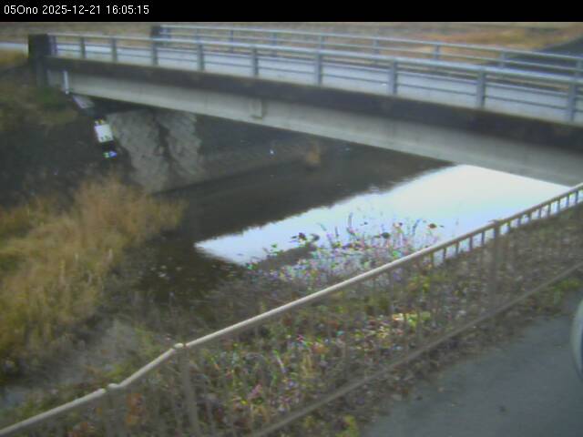 最新監視カメラ画像