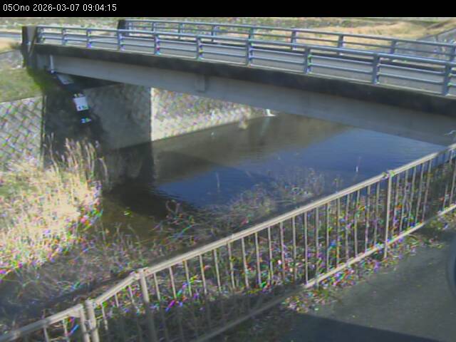 最新監視カメラ画像