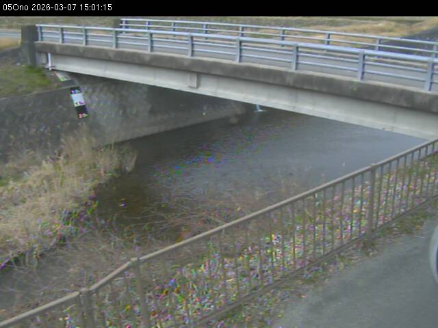 最新監視カメラ画像