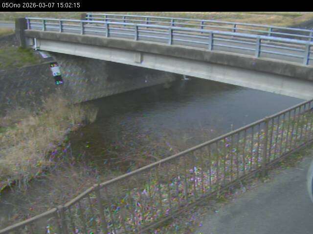 最新監視カメラ画像