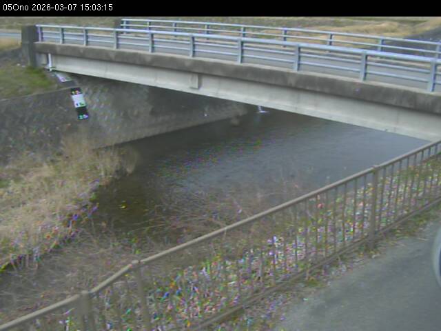 最新監視カメラ画像