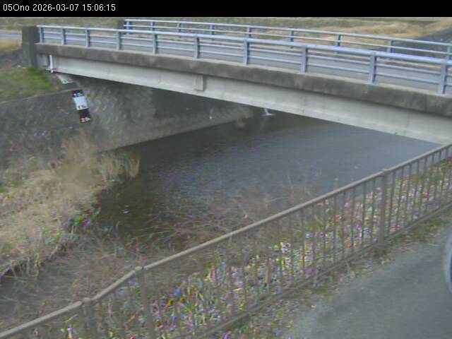 最新監視カメラ画像