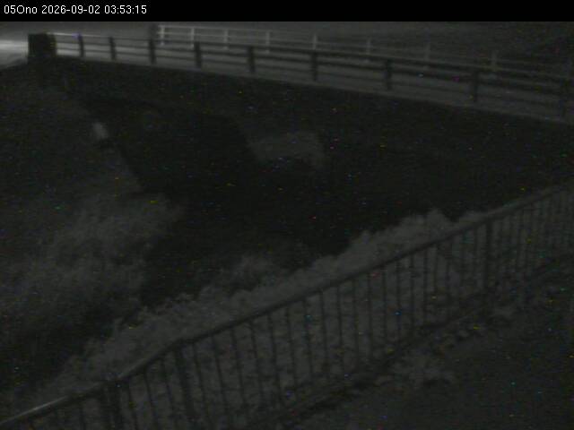 最新監視カメラ画像