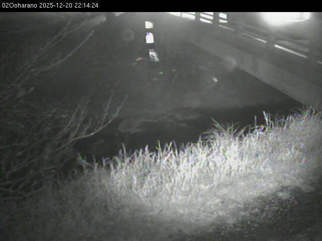 最新監視カメラ画像