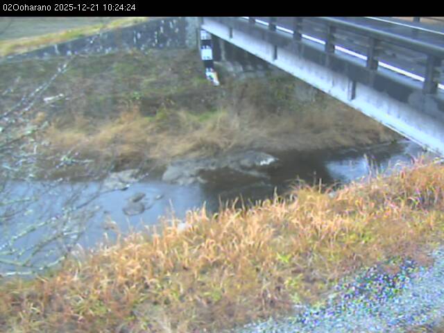 最新監視カメラ画像