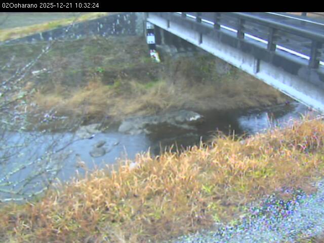 最新監視カメラ画像