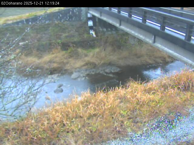 最新監視カメラ画像