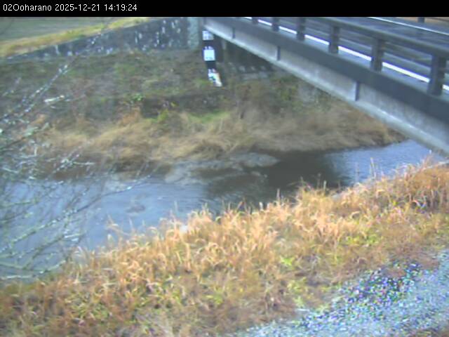 最新監視カメラ画像