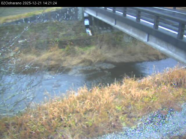 最新監視カメラ画像