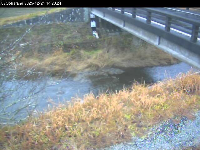 最新監視カメラ画像