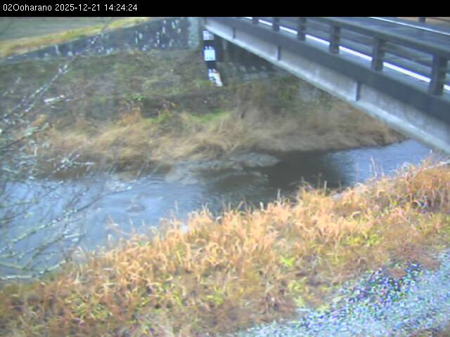 最新監視カメラ画像