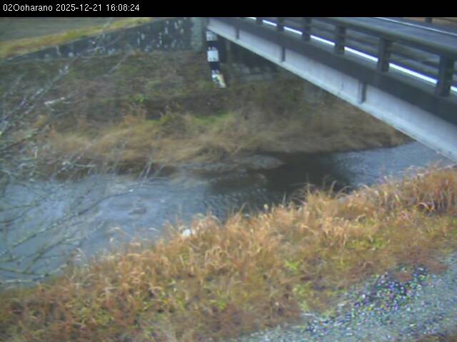 最新監視カメラ画像