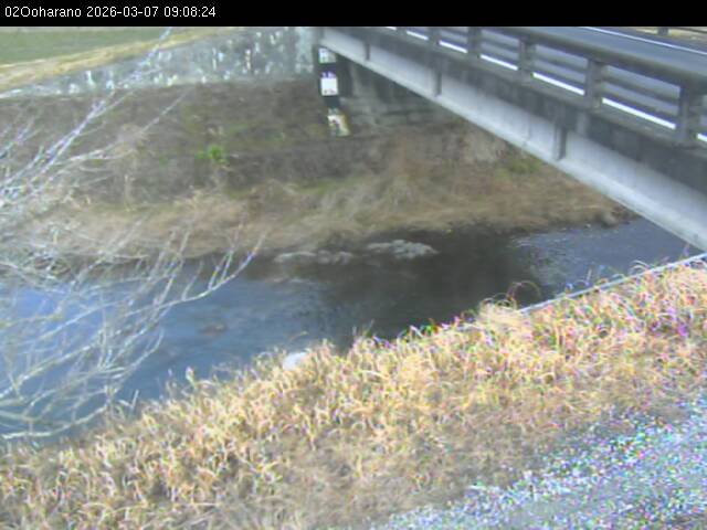 最新監視カメラ画像