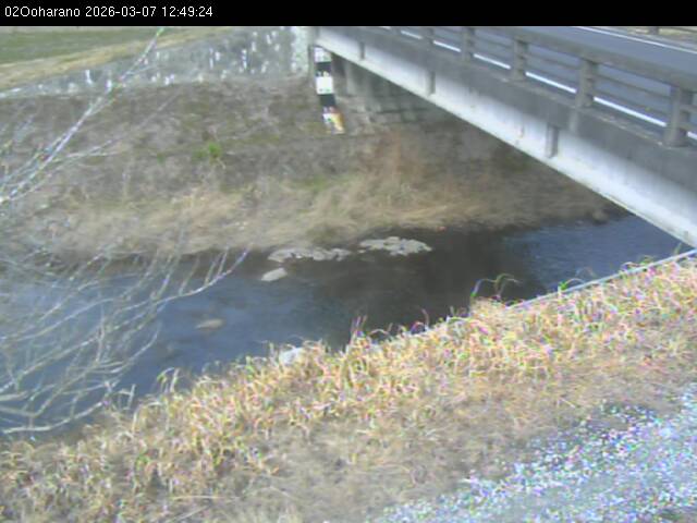 最新監視カメラ画像