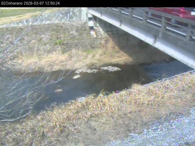 最新監視カメラ画像