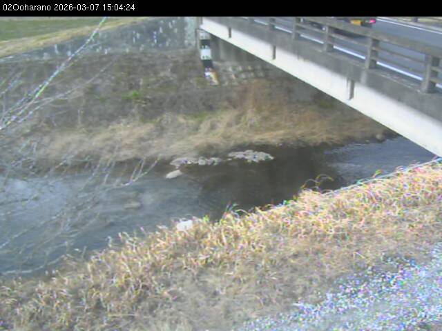 最新監視カメラ画像