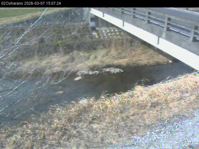 最新監視カメラ画像