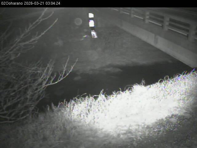 最新監視カメラ画像