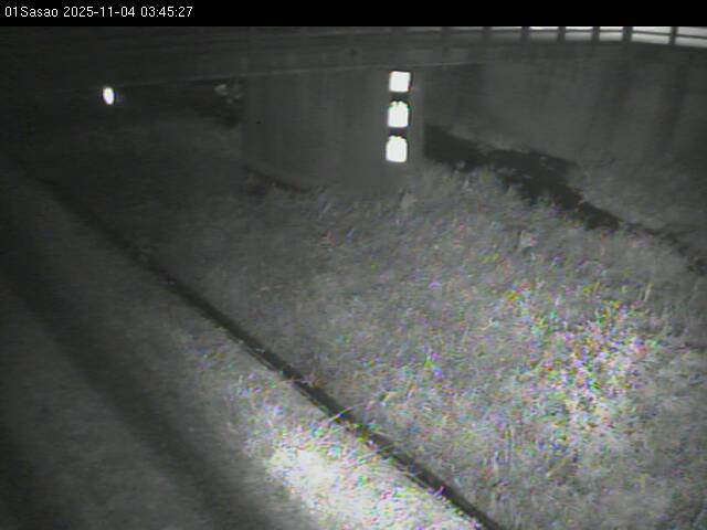 最新監視カメラ画像