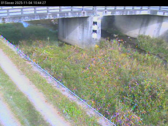 最新監視カメラ画像