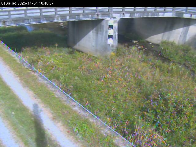 最新監視カメラ画像