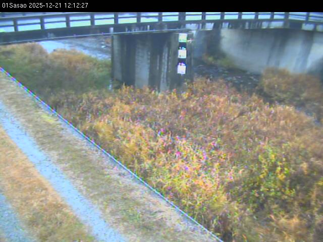 最新監視カメラ画像