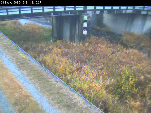 最新監視カメラ画像