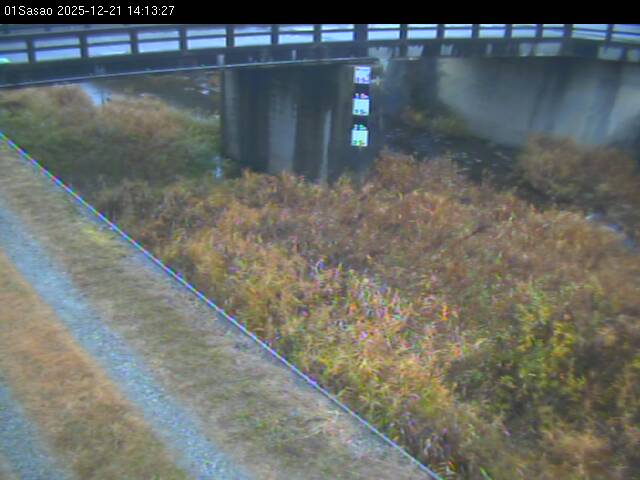 最新監視カメラ画像