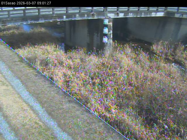 最新監視カメラ画像