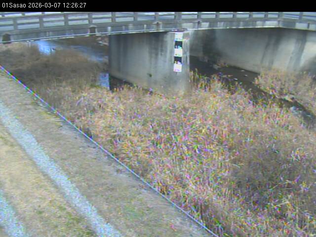 最新監視カメラ画像